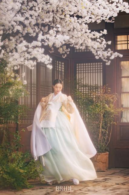 더브라이드