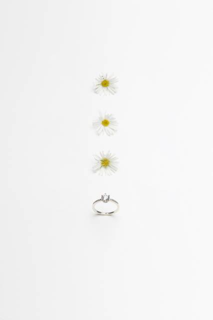 아우어스튜디오+제이스포사+순수 title=