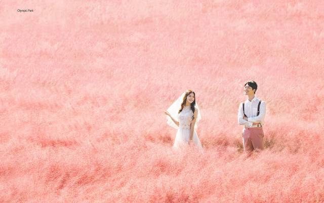 더캐슬용마랜드