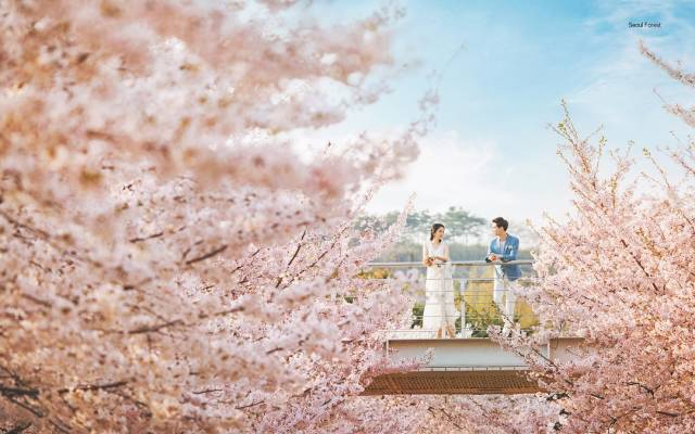 더캐슬용마랜드 title=