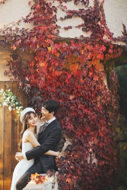 더캐슬용마랜드